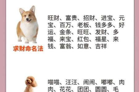 怎样给属狗戍时出生的男孩起名,宜用什么字姓名