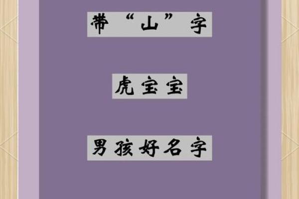 上午出生的属虎男孩适合起什么名,用什么字姓名 上午出生的属虎男孩适合起什么名,用什么字姓名