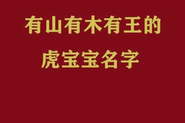 上午出生的属虎男孩适合起什么名,用什么字姓名 上午出生的属虎男孩适合起什么名,用什么字姓名