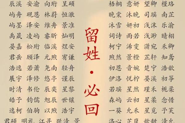 2019年3月20号未时出生的男孩起名方法姓名