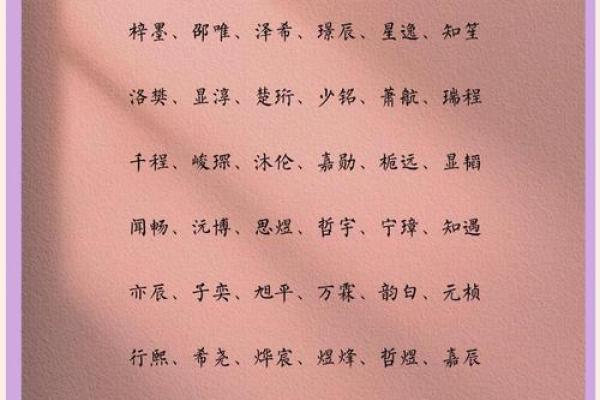 2019年3月20号未时出生的男孩起名方法姓名