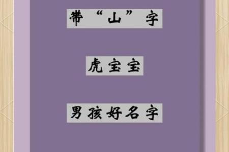 上午出生的属虎男孩适合起什么名,用什么字姓名