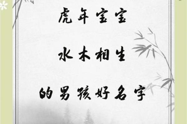 2019年5月5号丑时出生的男孩要怎么起名字姓名