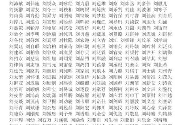 袁姓男孩名字大全-袁姓男孩起名字大全-袁姓名字大全姓名