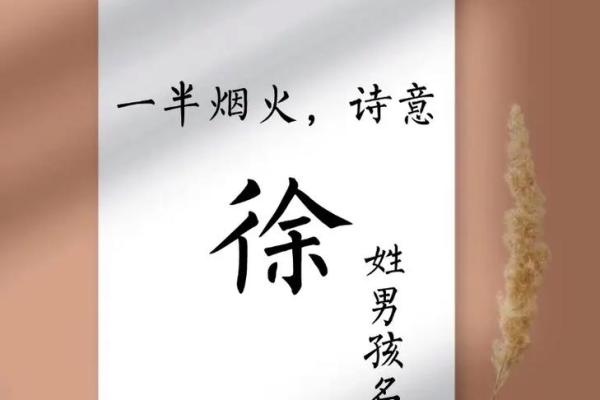 徐姓女孩名字大全-徐姓女孩起名字大全-徐姓名字大全姓名