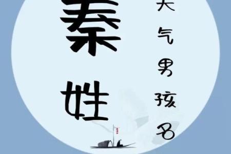 秦姓男孩名字大全-秦姓男孩起名字大全-秦姓名字大全姓名