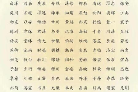 2019年3月24号寅时出生的男孩起名时要注意什么姓名