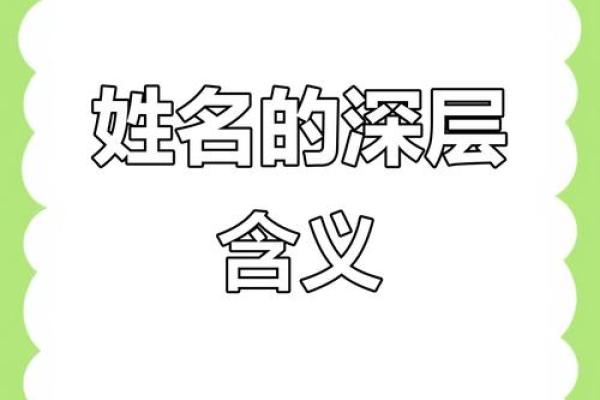 数理诱导作用分类-姓名学-姓名分析姓名