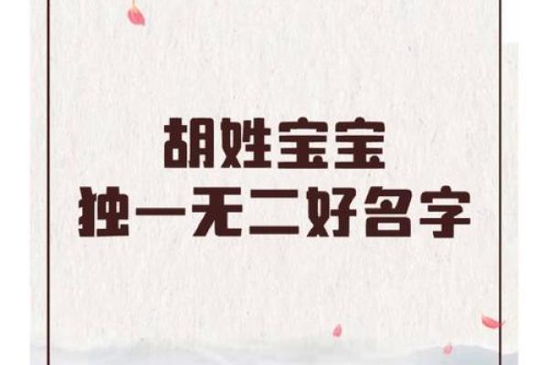 胡姓男孩名字大全-胡姓男孩起名字大全-胡姓名字大全姓名 胡姓男孩名字大全-胡姓男孩起名字大全-胡姓名字大全姓名