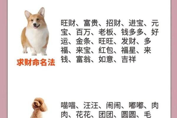 七月份出生的属狗男孩怎么取名字好姓名 七月份出生的属狗男孩怎么取名字好姓名