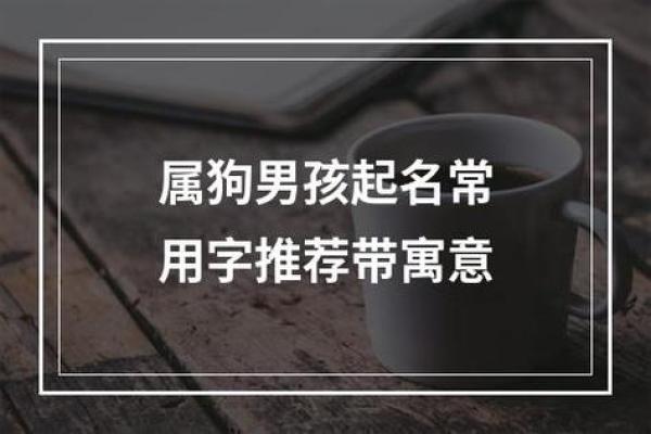 早上八点出生的属狗男孩怎么取名,用什么字好姓名 早上八点出生的属狗男孩怎么取名,用什么字好姓名