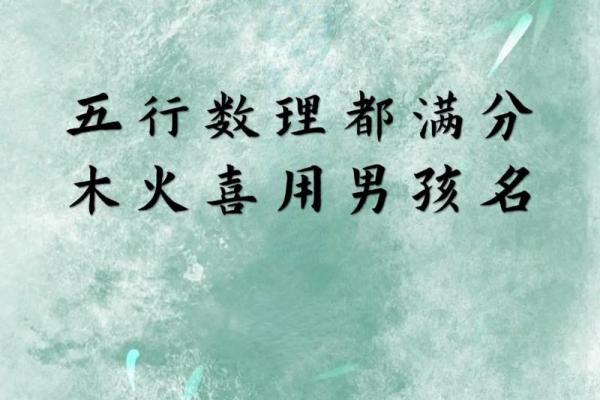 2019年3月25号未时出生的男孩起名方法姓名