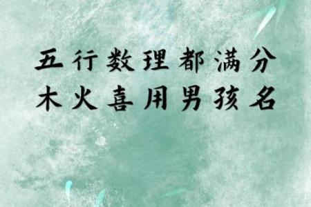 2019年3月25号未时出生的男孩起名方法姓名