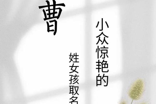 曹姓男孩名字大全-曹姓男孩起名字大全-曹姓名字大全姓名